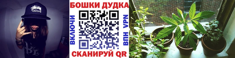 где продают наркотики  Мензелинск  Конопля White Widow 
